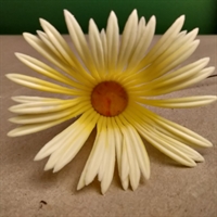 kunstig blomst gul gerbera retro plastik blomst genbrug